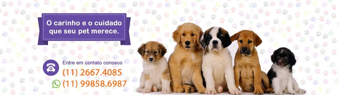 banho-e-tosa-e-pet-shop-petshopnovopet-banner1