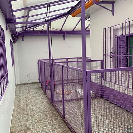 Hotel e Creche para Cachorro Orçar Vila Romero - Hotel para Cachorro de Pequeno Porte
