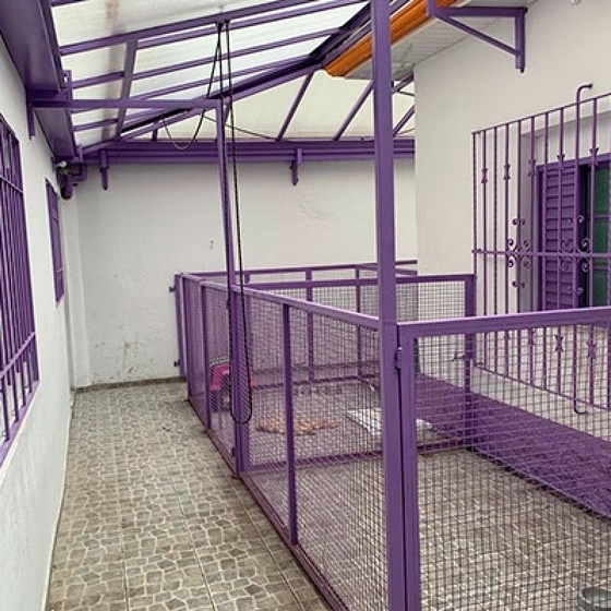 Hotel para Cachorro Orçar Vila Romero - Hotel para Cachorro Filhote Hotel para Cachorro Orçar Vila Romero - Hotel para Cachorro Filhote
