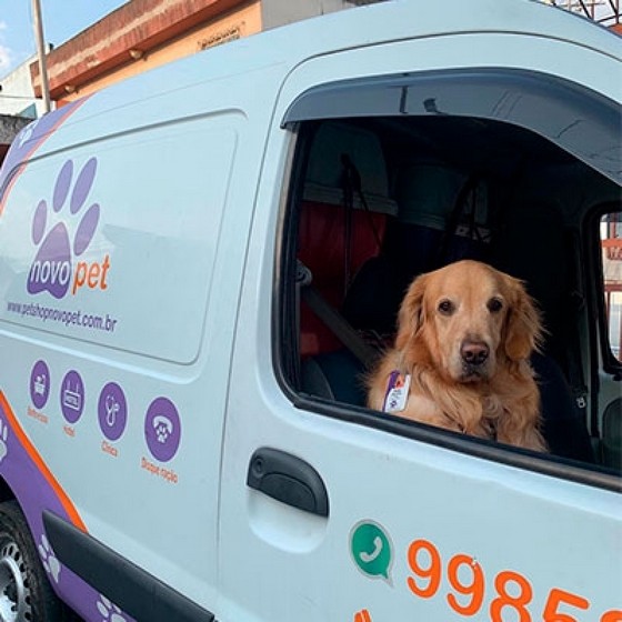 Onde Encontro Pet Shop com Leva e Traz Vila Nova Cachoeirinha - Pet Shop de Cachorro