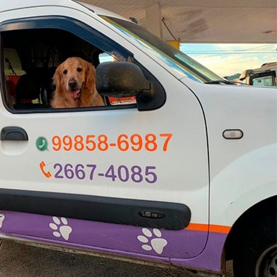 Pet Shop com Leva e Traz Mais Próximo Avenida Inajar de Souza - Pet Shop para o Cachorro