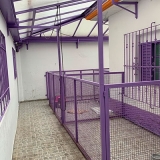 hotel e creche para cachorro orçar Vila Nova Cachoeirinha