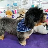 tosa de cachorro lhasa preço ultramarino