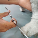 tosa em cachorro com tesoura preço bonilhia