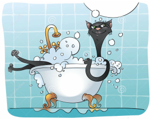 black-cat-bath-21119559
